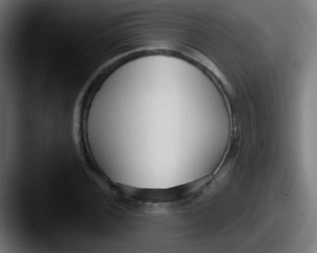 X0000087611116200705181250