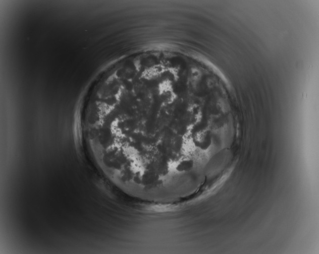 X0000087611117200705181250