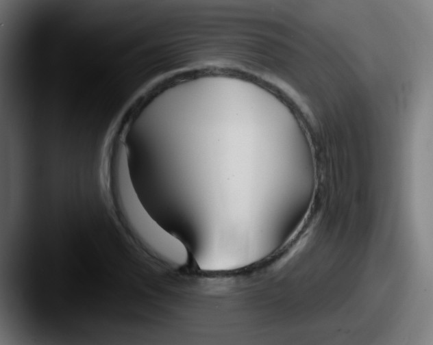 X0000087611118200705181250