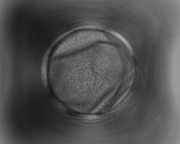 X0000087611120200705181250