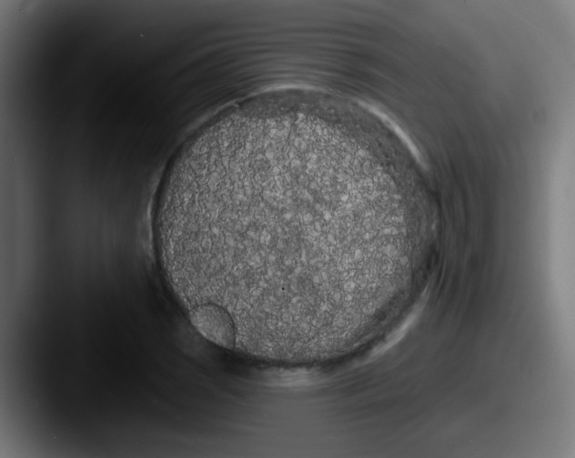 X0000087611121200705181250