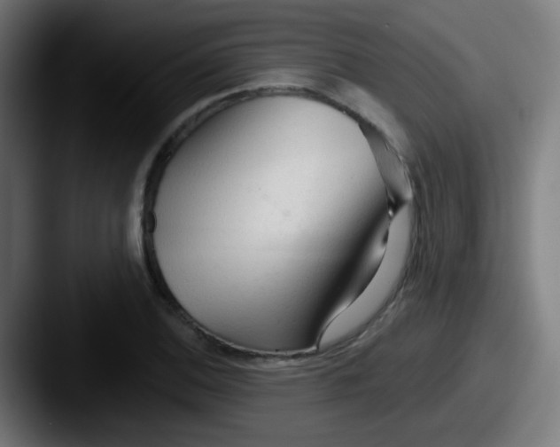 X0000087611124200705181250