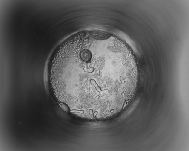 X0000087611125200705181250