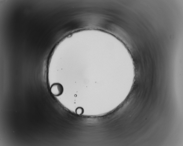 X0000087611126200705181250