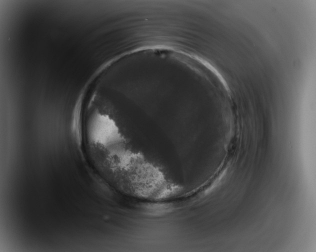 X0000087611127200705181250
