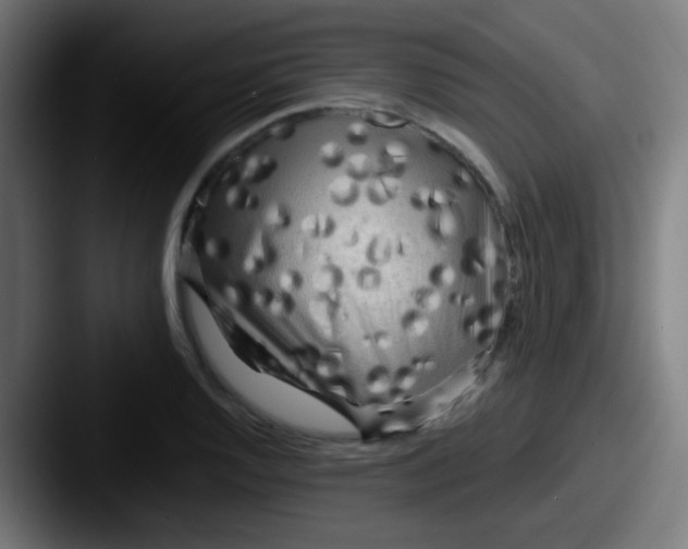 X0000087611128200705181250