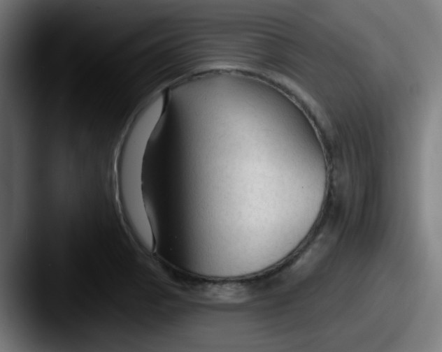 X0000087611129200705181250