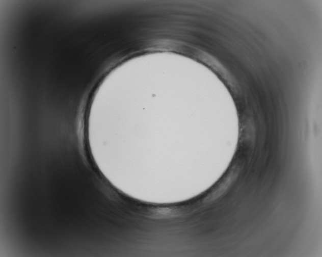 X0000087611130200705181250