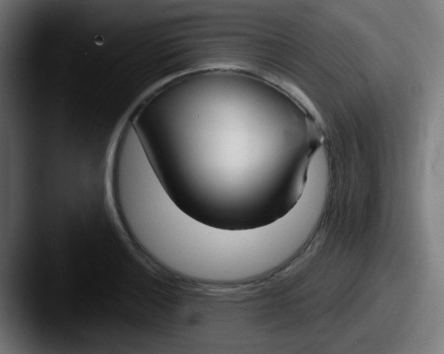 X0000087611132200705181250