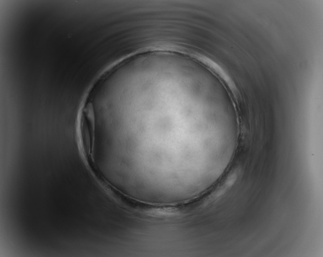 X0000087611133200705181250