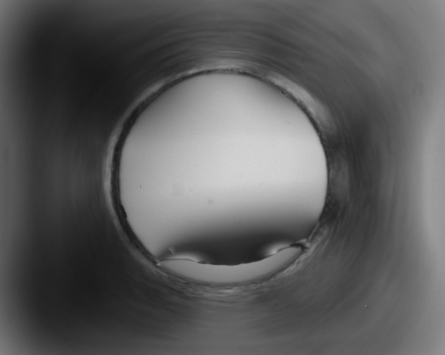 X0000087611135200705181250
