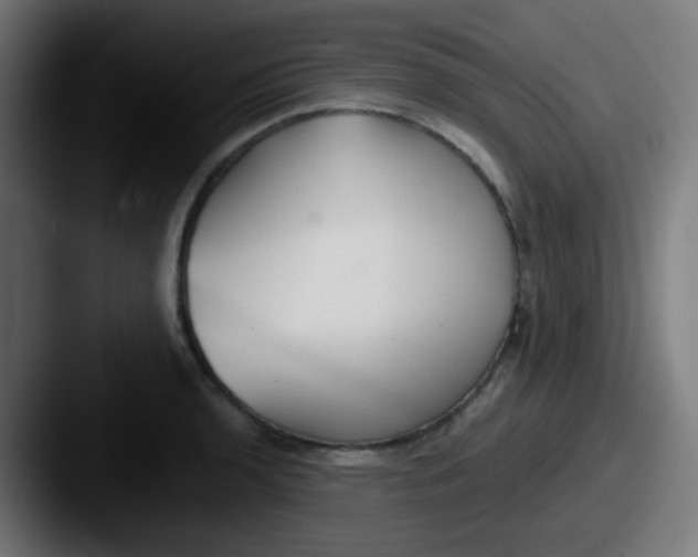X0000087611136200705181250