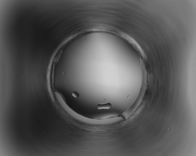 X0000087611138200705181250
