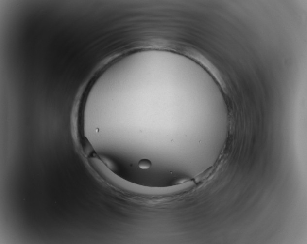 X0000087611139200705181250