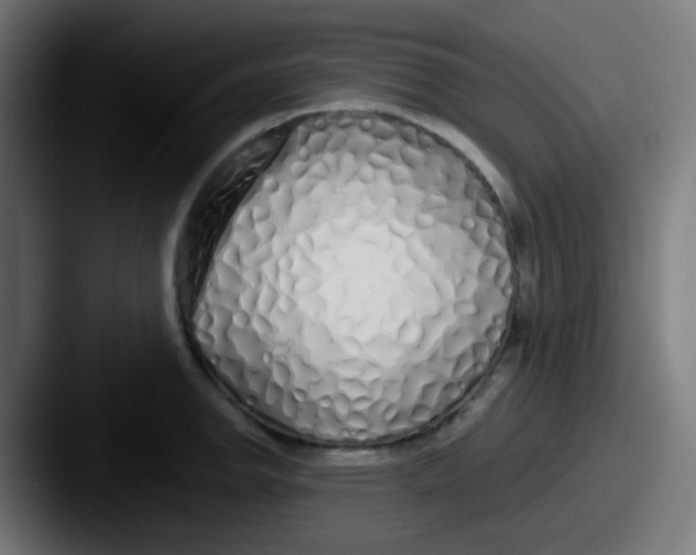 X0000087611142200705181250