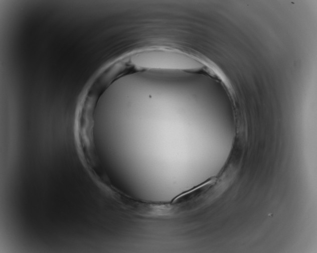 X0000087611144200705181250