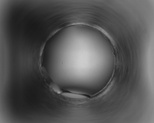X0000087611145200705181250