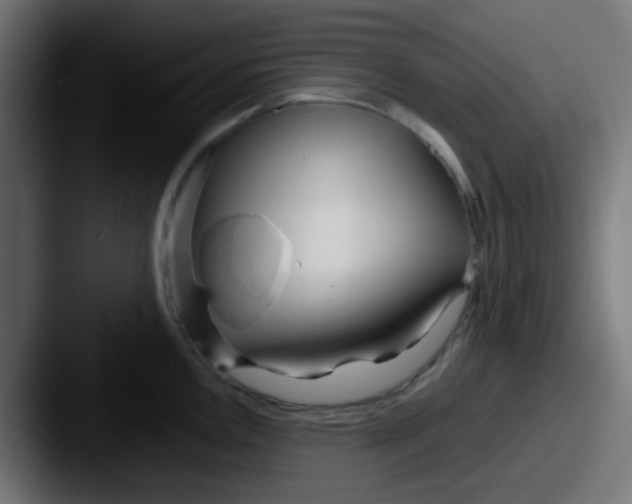 X0000087611146200705181250