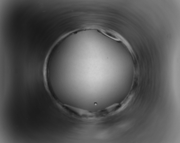 X0000087611149200705181250
