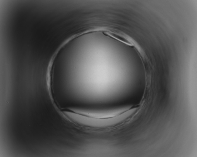 X0000087611151200705181250