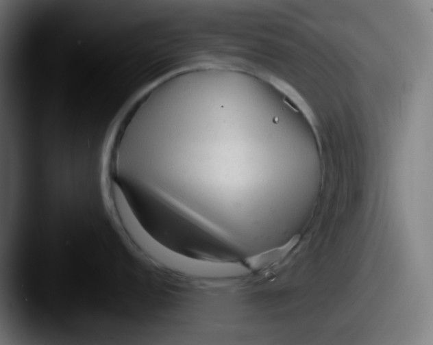 X0000087611152200705181250