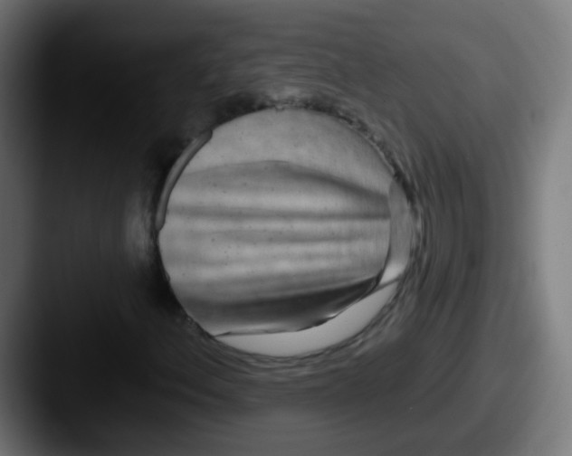 X0000087611156200705181250