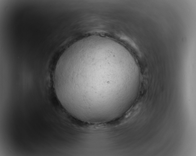 X0000087611159200705181250