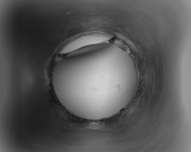 X0000087611160200705181250