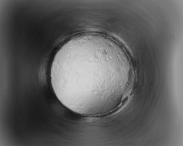 X0000087611163200705181250