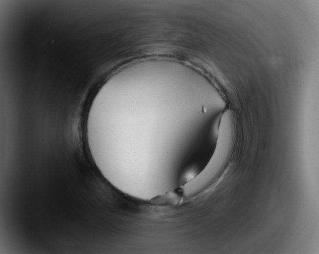 X0000087611164200705181250