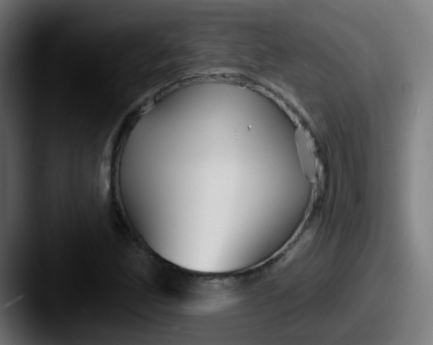 X0000087611165200705181250