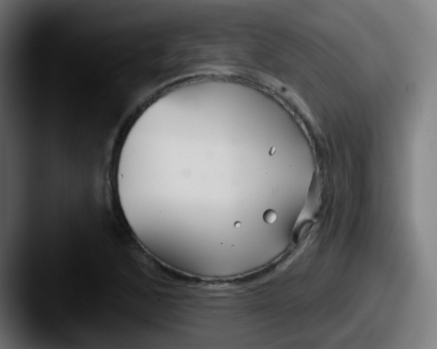 X0000087611168200705181250