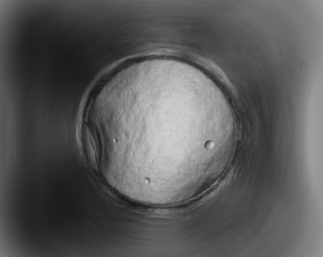 X0000087611172200705181250