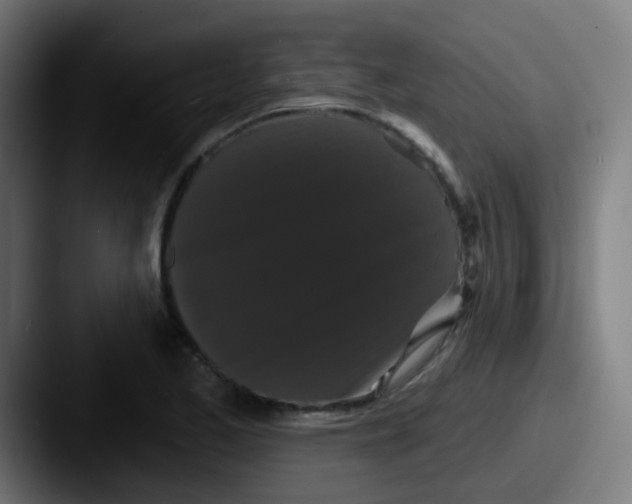 X0000087611173200705181250