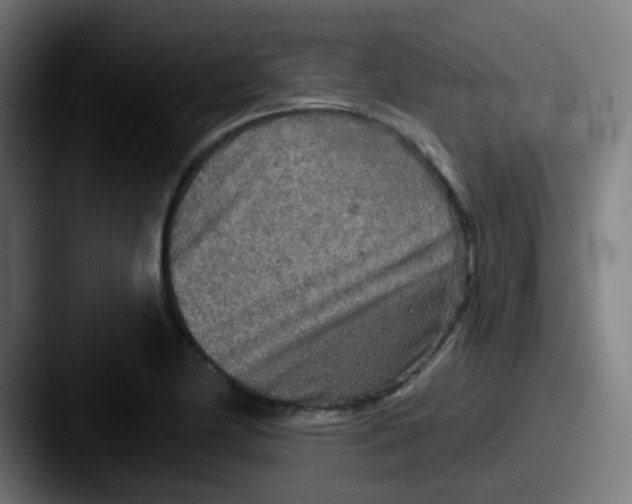 X0000087611174200705181250