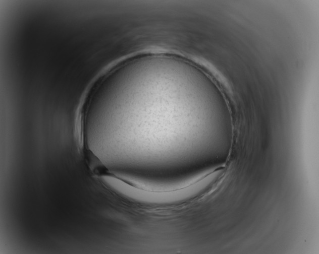 X0000087611175200705181250