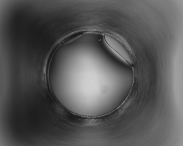 X0000087611176200705181250