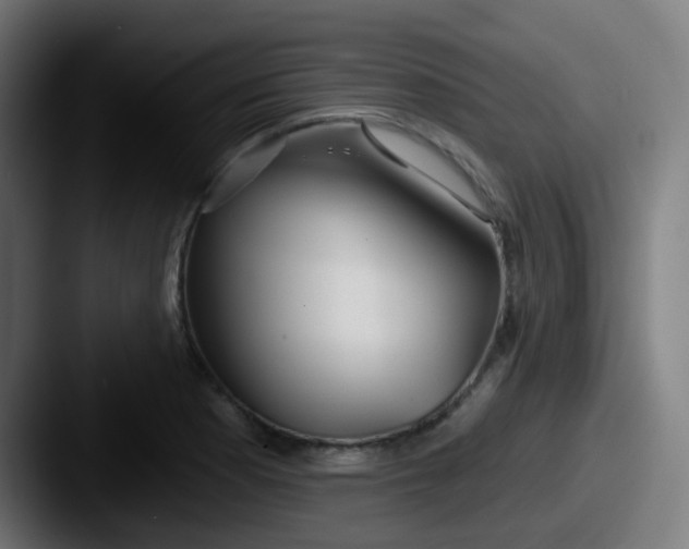 X0000087611177200705181250