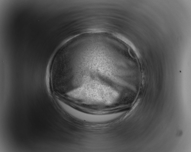 X0000087611179200705181250