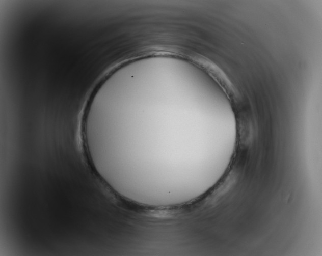 X0000087611182200705181250