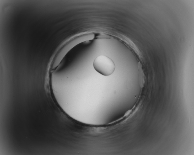 X0000087611184200705181250