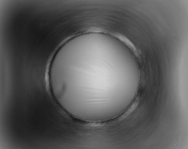 X0000087611190200705181249
