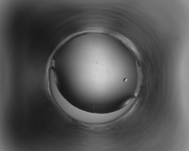 X0000087611192200705181249