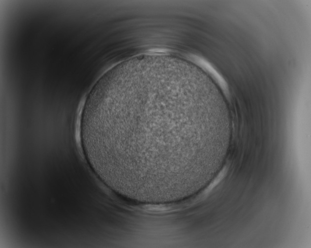 X0000087611194200705181249