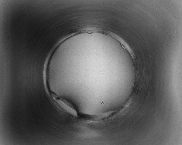 X0000087611195200705181249