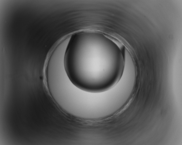 X0000087611196200705181249