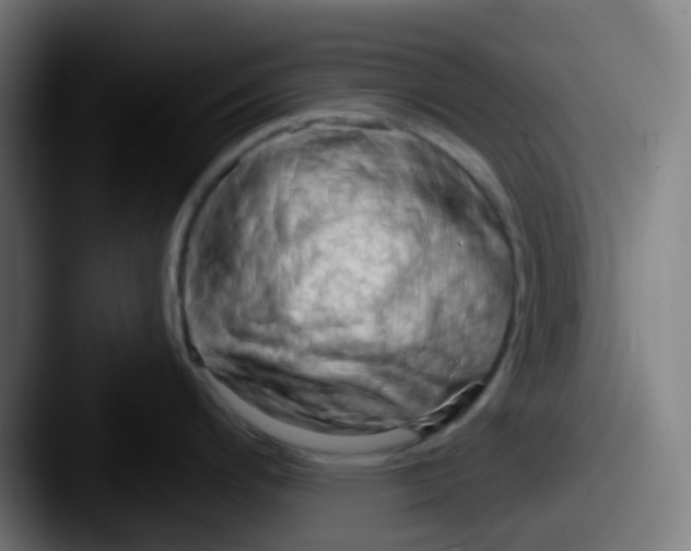 X0000087611200200705181249