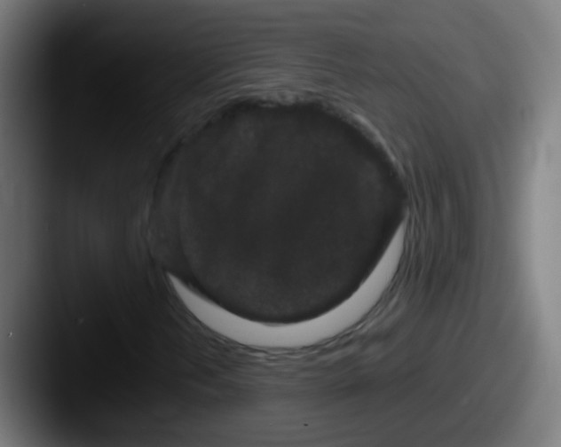 X0000087611202200705181249