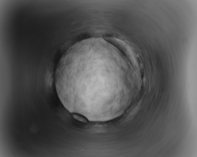 X0000087611204200705181249