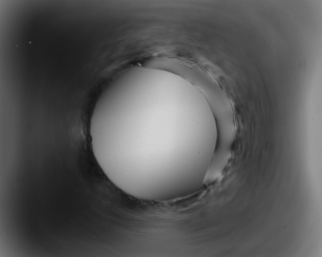 X0000087611206200705181249